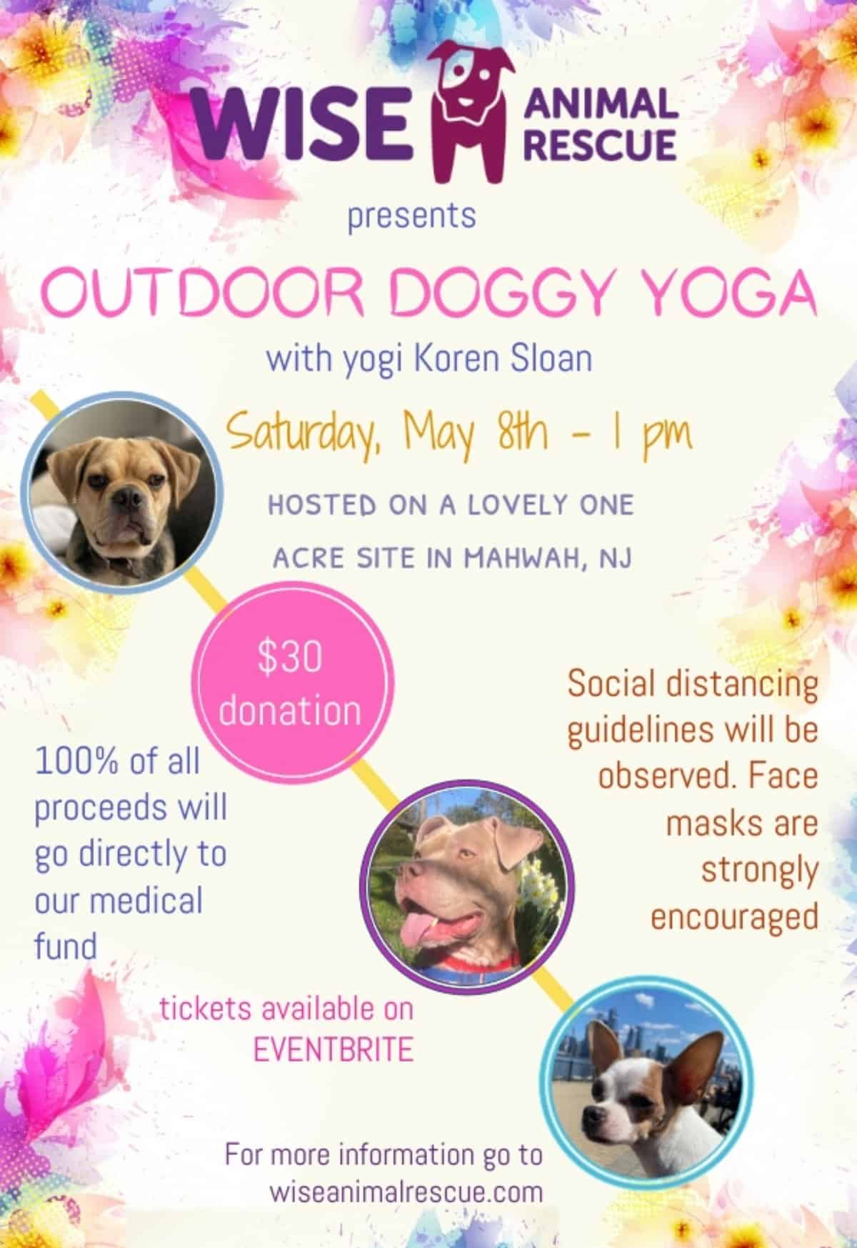 Outdoor Doggie Yoga WISE Fundraiser