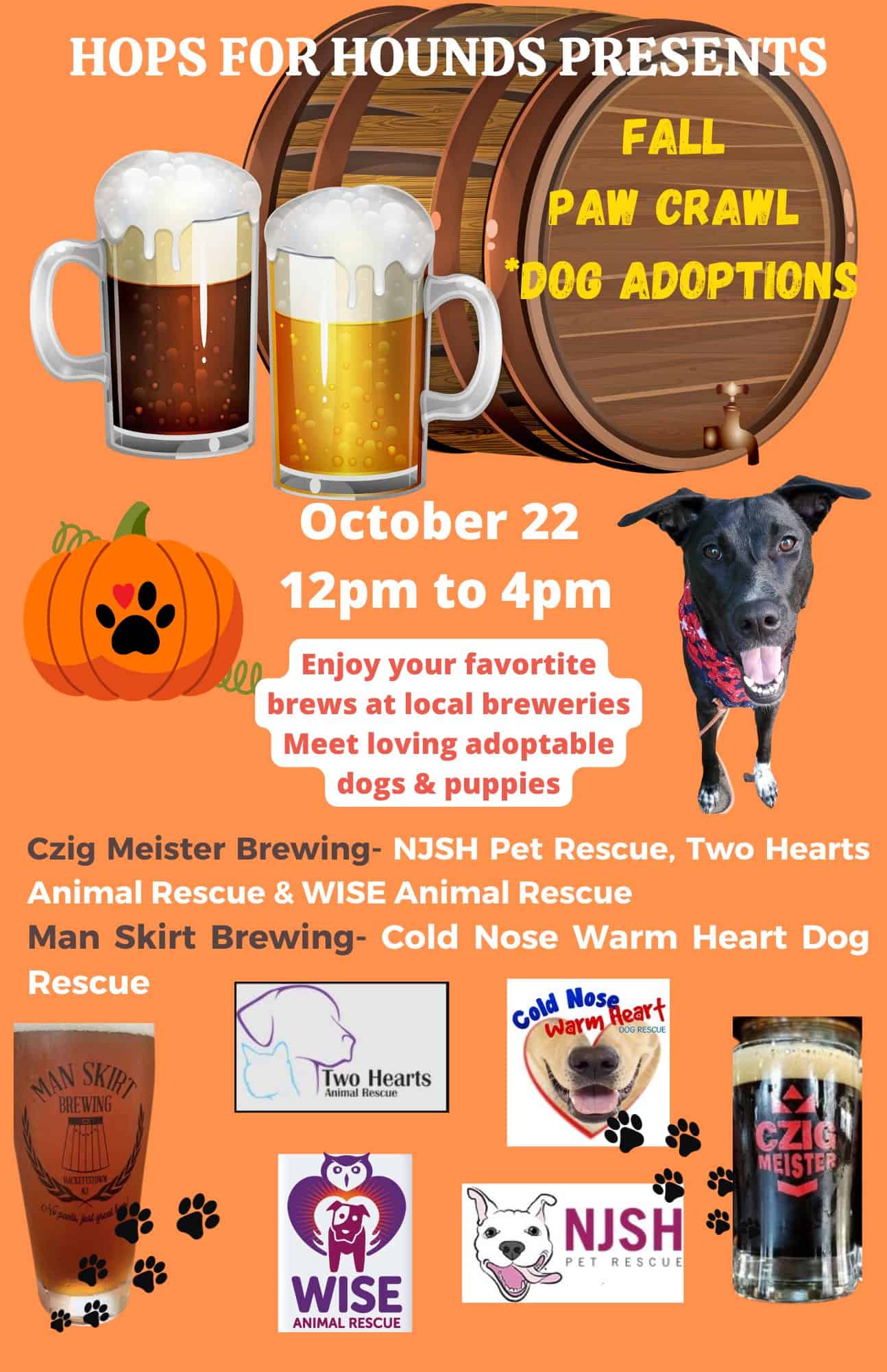 fall-paw-crawl-dog-adoption-wise-animal-rescue