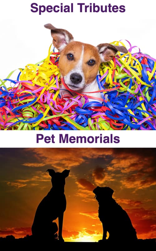special pet tributes & memorials